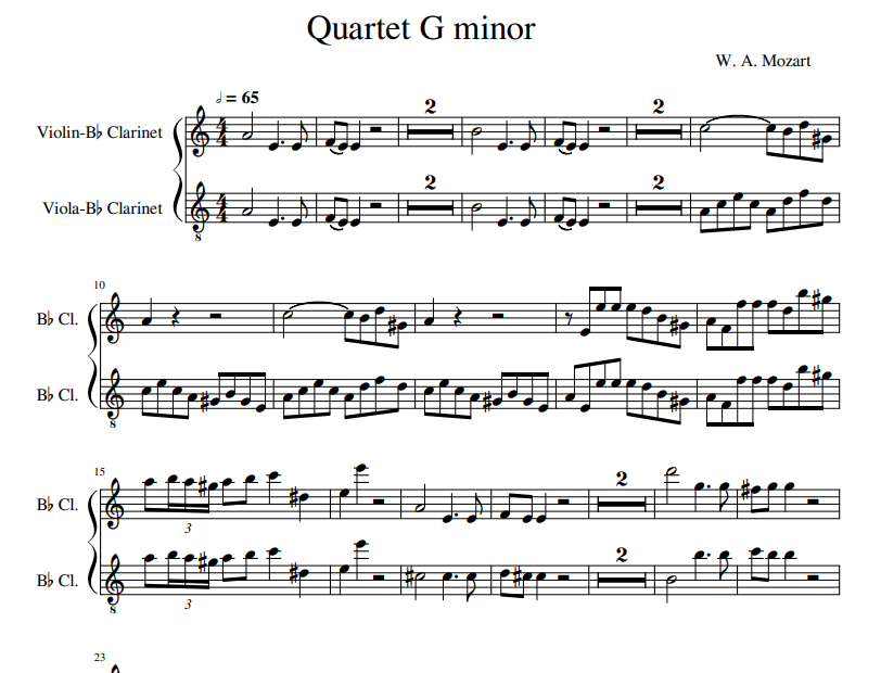 W. A. Mozart - Quartet G minor fo violin and viola